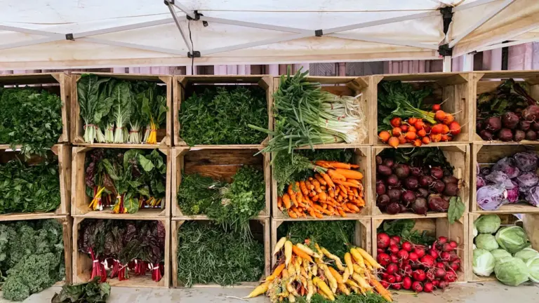 Bauern- und Regionalmarkt Kiel: 2. bis 4. Oktober