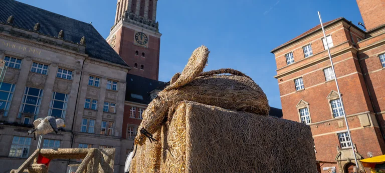 Bauern- und Regionalmarkt Kiel: 2. bis 4. Oktober