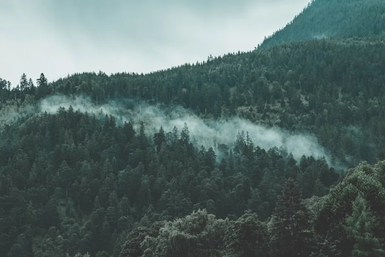 Deutschland heute Abend: Wetter- und Waldbrand-Check