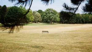 Eine leere Parkbank auf einer ausgetrockneten Wiese während einer Hitzewelle in Deutschland.