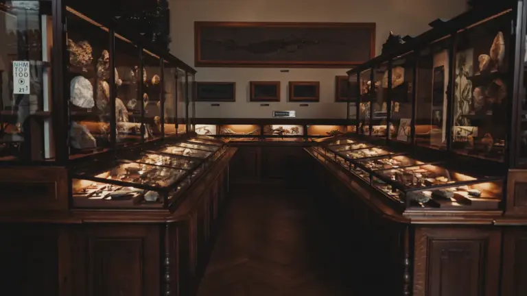 Paderborn: Museumsspürnasen jagen am 22. August die Krone