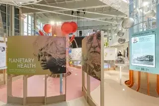 Planetary Health in München: Ausstellung am 14. August: local impact