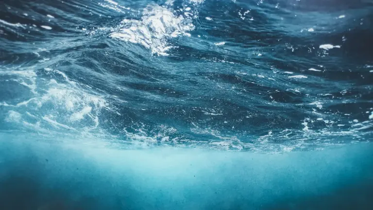 Wasser im Traum: Was Psychologie und Kultur darin sehen