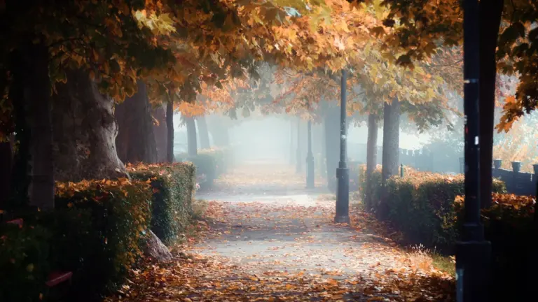 Heizkosten im Herbst senken: So wirken Thermostat und Lüften