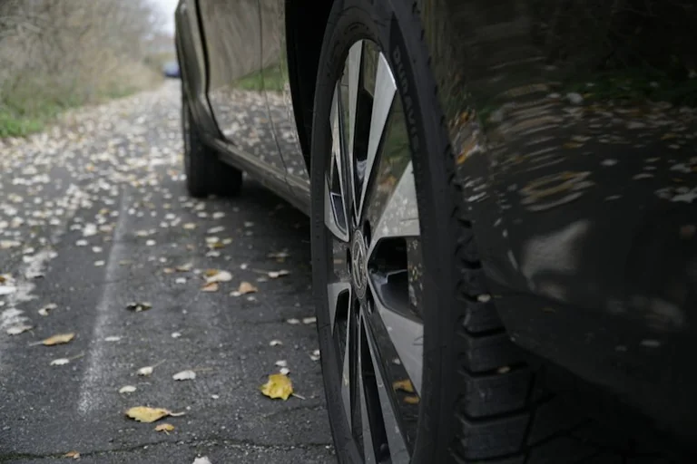Nasses Herbstlaub: Wo Wege und Straßen rutschig werden